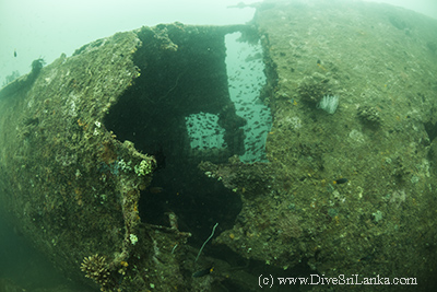 Trincomalee harbour navy gun boat